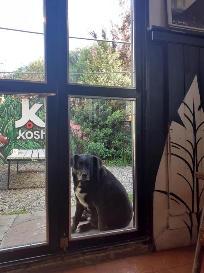 Ostello Kosh San Carlos de Bariloche Esterno foto