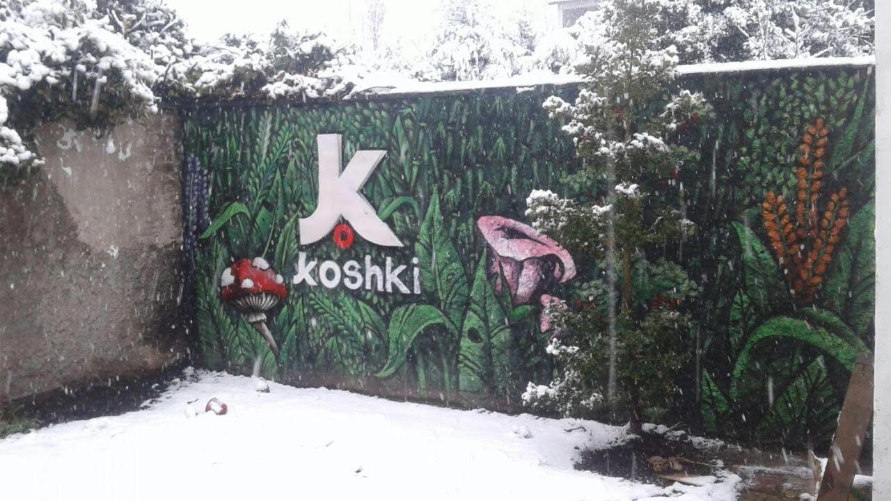 Ostello Kosh San Carlos de Bariloche Esterno foto